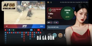 Đá Gà Đòn - Loại Hình Chọi Kê Kịch Tính Từng Phút, Từng Giây