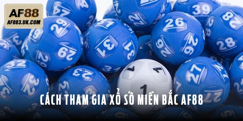 Người mới có thể dự thưởng xổ số miền Bắc AF88 với vài bước